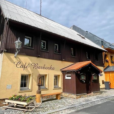 Pension Barborka Boží Dar 外观 照片